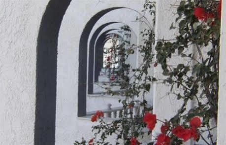 Fan Apartments Stalida Exterior photo